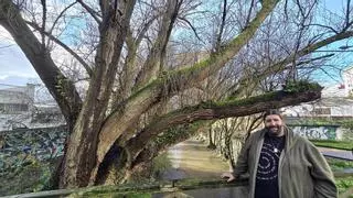 David Eyo, «El hombre del bosque», divulgador científico e influencer: «En unos años Vigo se va a convertir en un referente por su otoño»