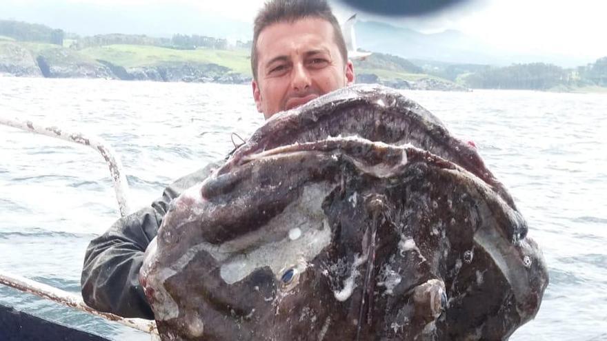 La sorprendente imagen de un pixín de 45 kilos capturado en Puerto de Vega