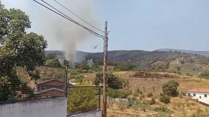 Vecinos de Las Hurdes denuncian la acumulación de restos de poda de pino