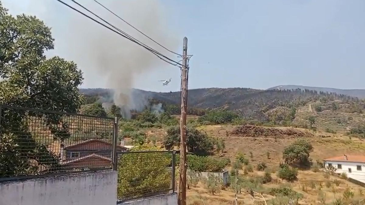 Vecinos de Las Hurdes denuncian la acumulación de restos de poda de pino
