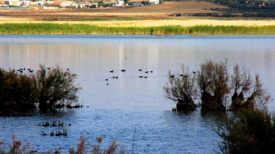 Imagen de la Laguna de Campillos. | AMANDA PINTO