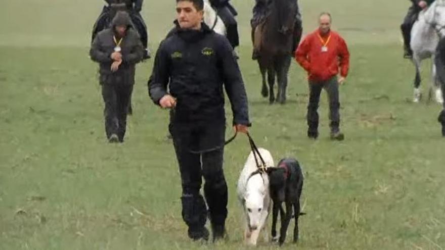 Kika y Escorpión, este miércoles en Madrigal