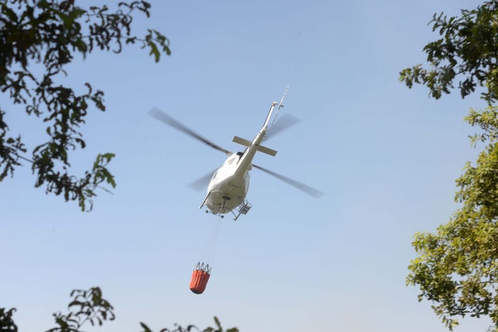 Incendio forestal en Cotobade