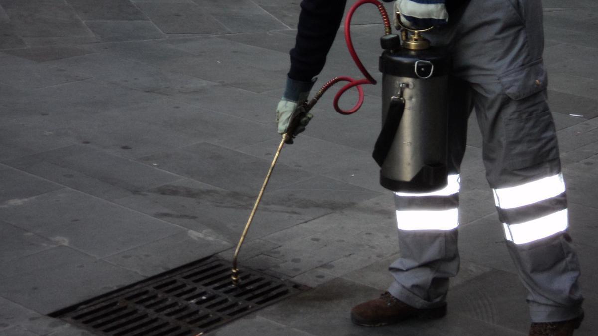Un operario realiza un tratamiento contra las plagas de insectos y roedores.