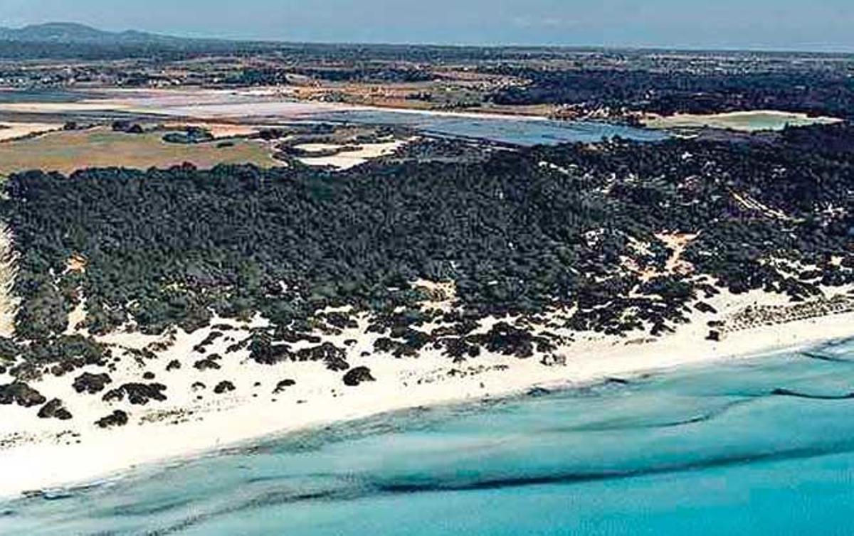 Panorámica de la playa des Trenc, una de las postales más icónicas de Mallorca.