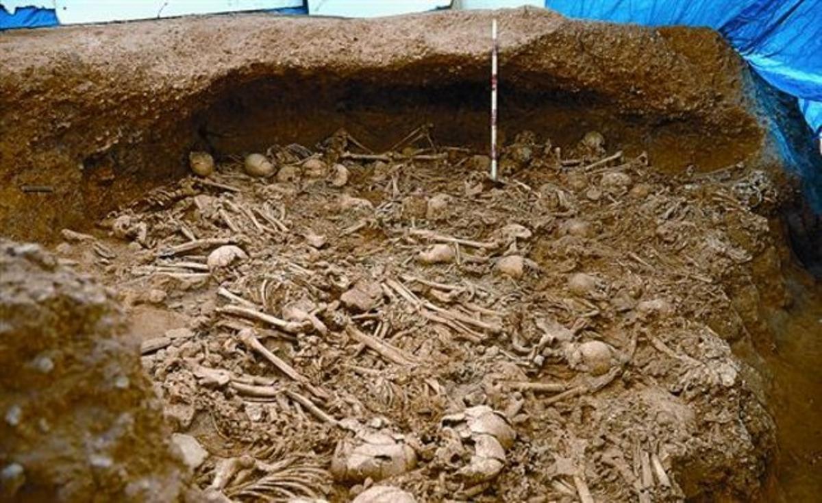 Algunes de les restes humanes del neolític trobades durant els treballs de l’AVE a la Sagrera.