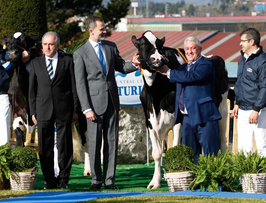 El Rey participa en el 50.º aniversario de Clas