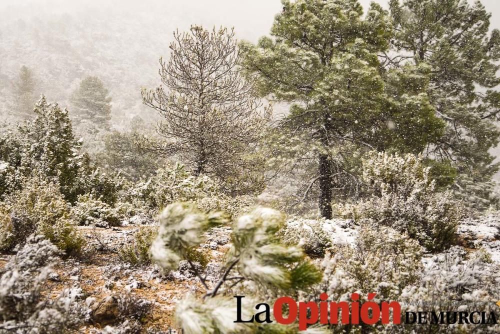 Nieve en las pedanías altas del Noroeste