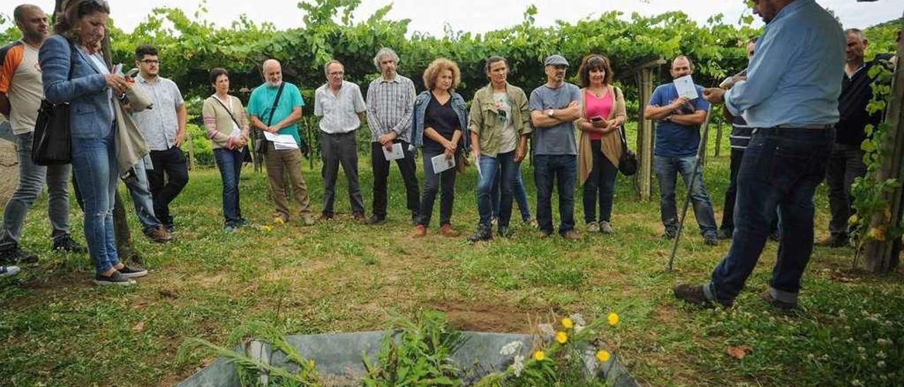 Asistentes al curso práctico celebrado en los viñedos de Martín Códax. // Iñaki Abella