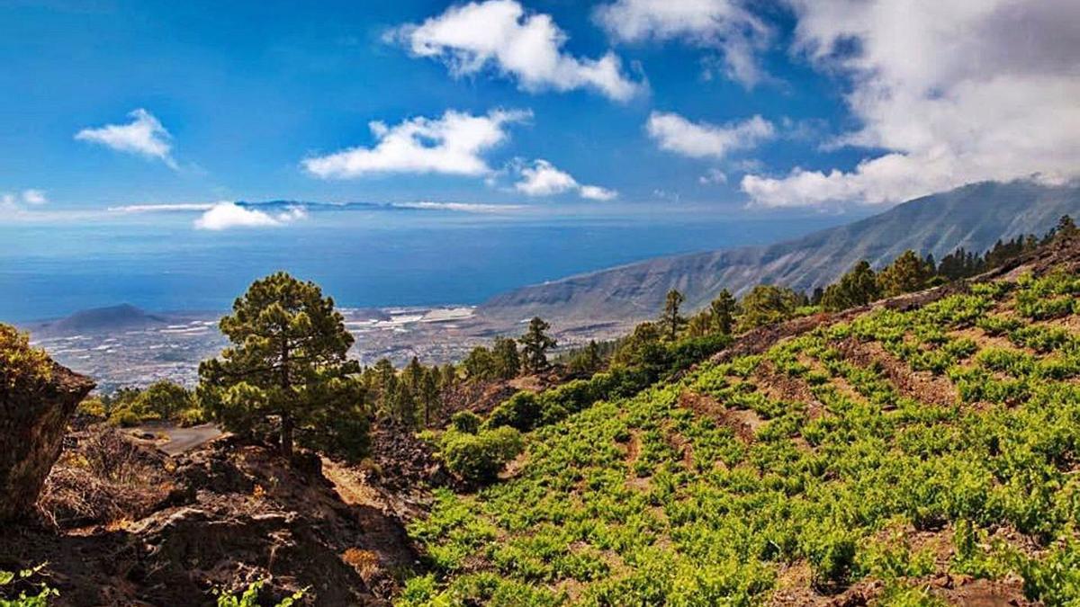 La zona productiva ab arca de la costa a La Dehesa, a 1.200 metros de altitud.