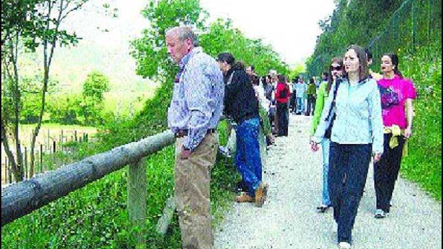 Visitantes, ayer, en la Senda del Oso, tratan de ver a «Furaco».