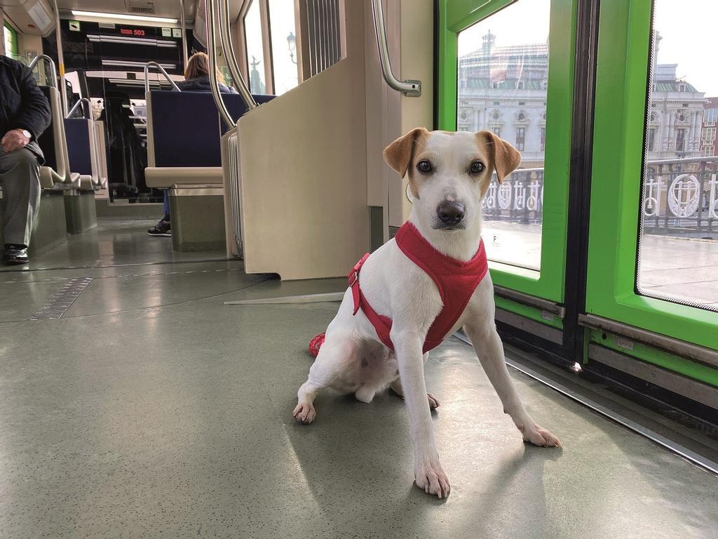 Dentro de un tranvía. 