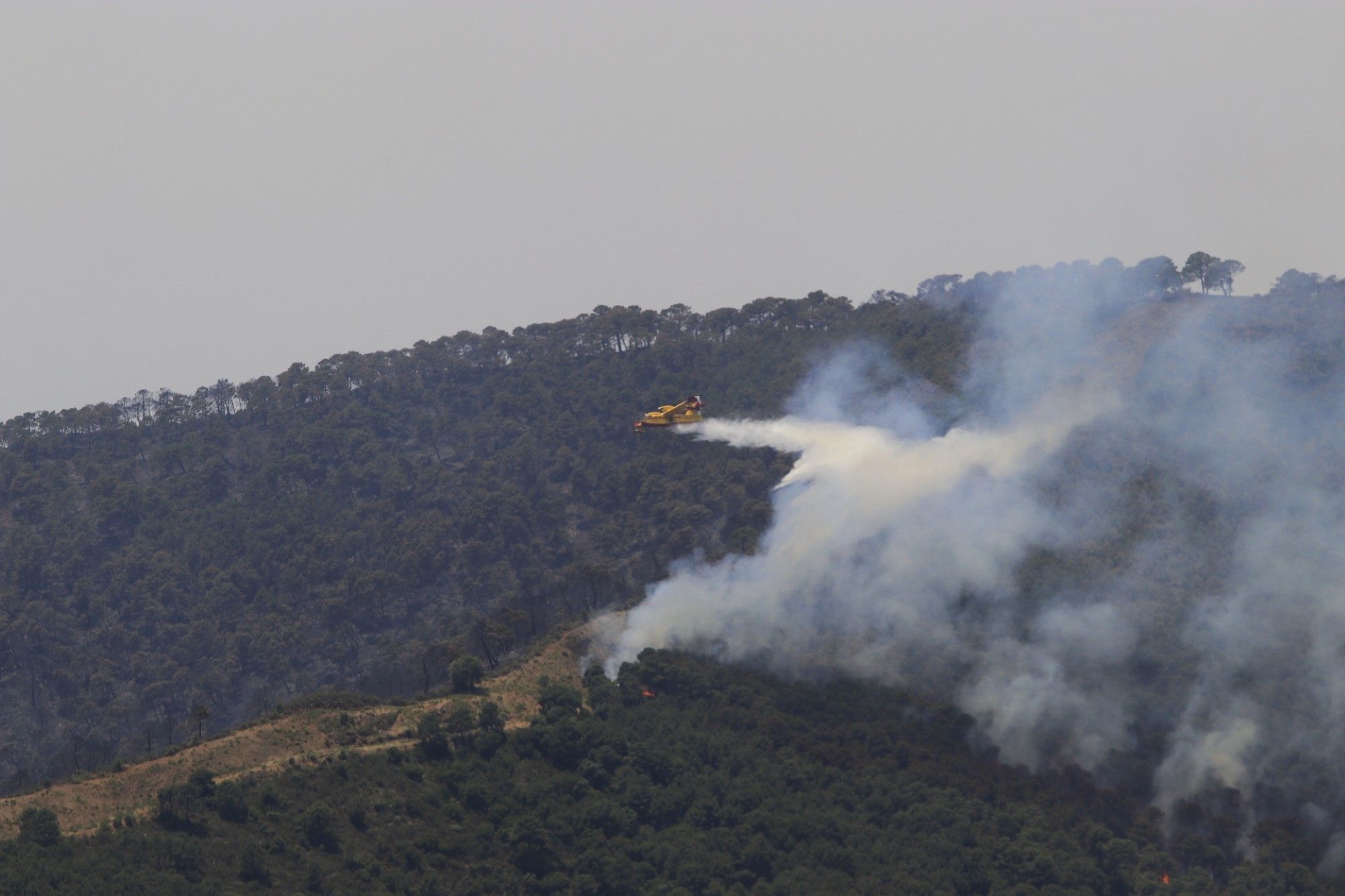 Un millar de efectivos trabajan para controlar el fuego de Sierra Bermeja