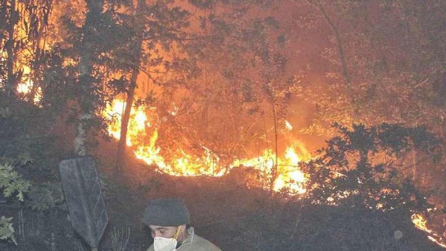 Último incendio ocurrido en Cotobade, en el lugar de Borela. // S.A.