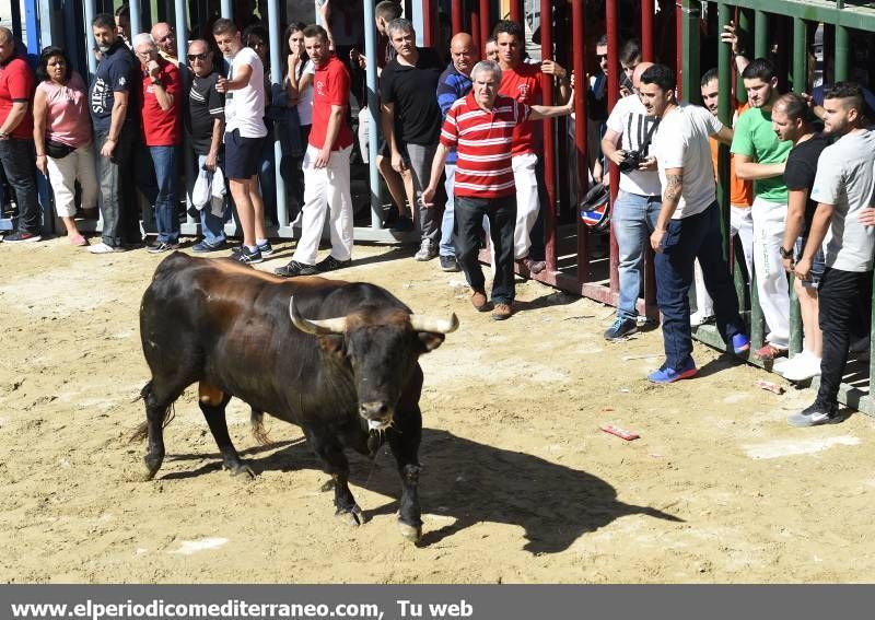 Galería de fotos -- Dos heridos por asta de toro en la penúltima jornada taurina