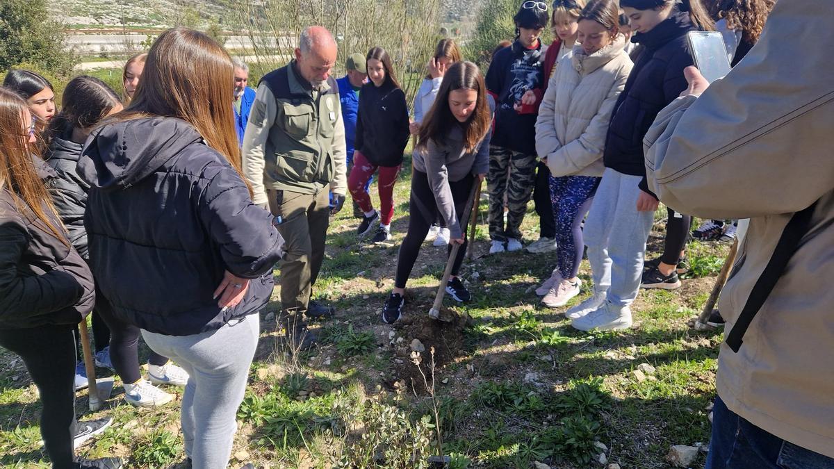 Alumnos de la ESO en la reforestación del monte Santa Rita.