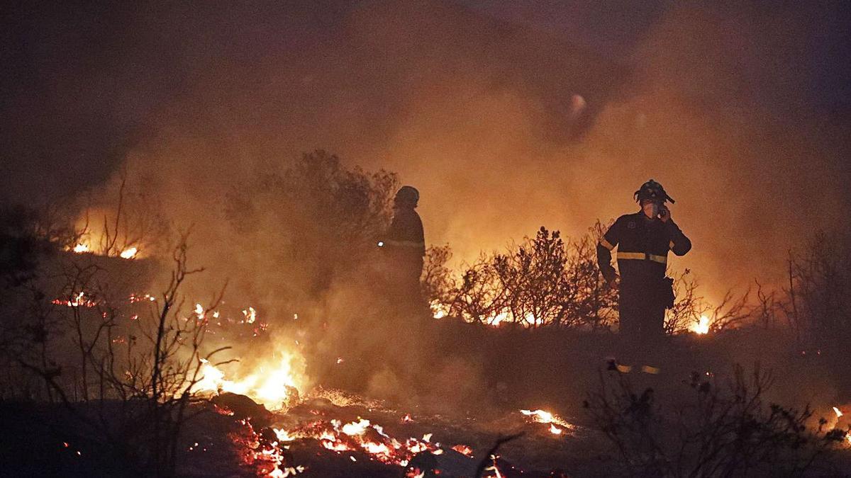Un incendi forestal a Torroella de Montgrí, en una imatge d’arxiu.  | ANIOL RESCLOSA