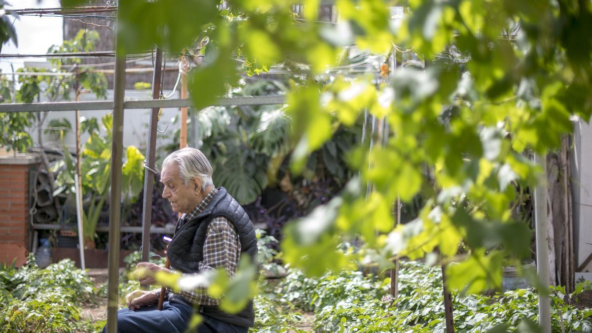 El huerto urbano del centenario Joan Carulla