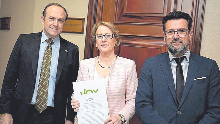 Los diputados Lourdes Méndez, Luis Gestoso y Francisco Robles.