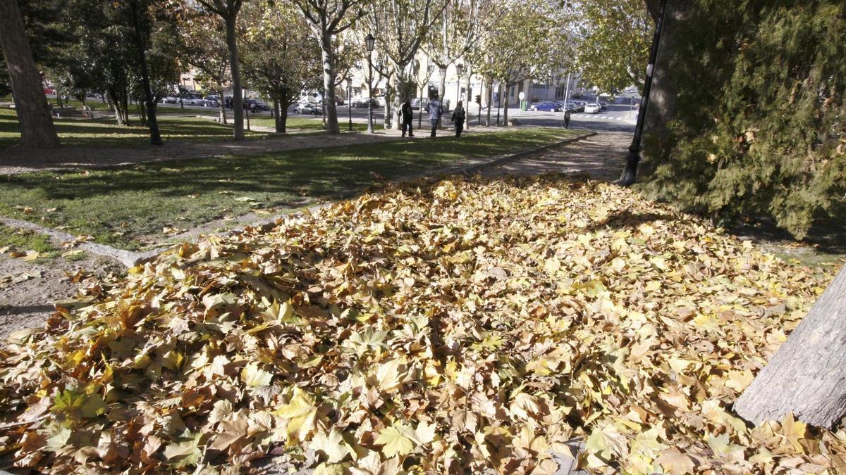 Zamora en otoño.