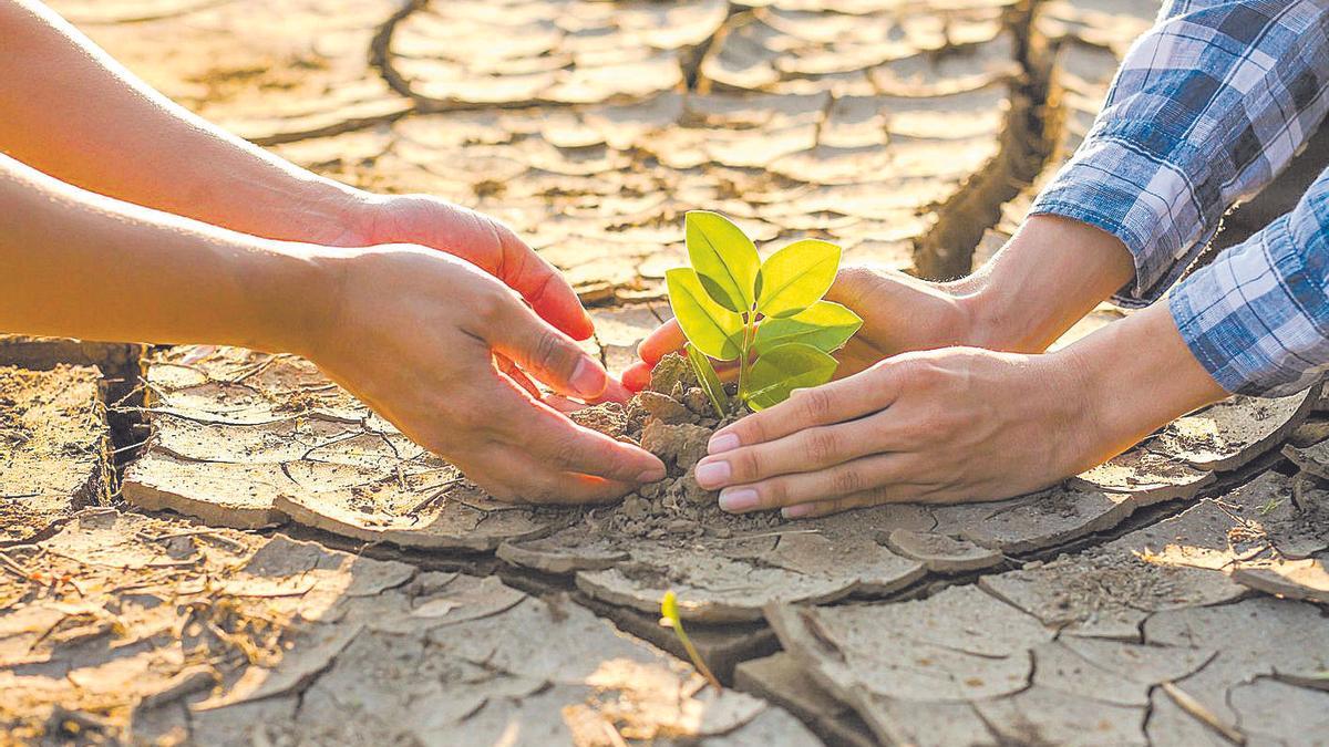 La sequía extrema es una de las graves consecuencias del cambio climático.