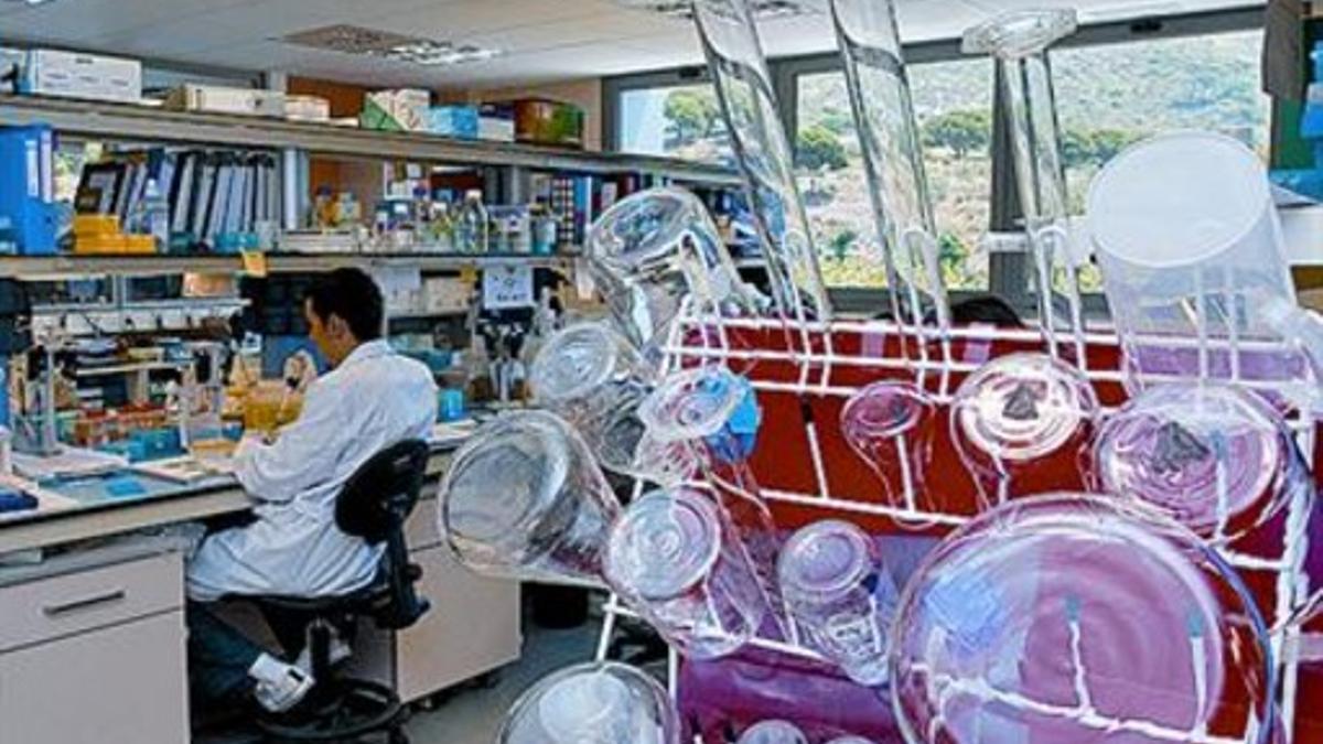 Nuevas instalaciones del Institut de Medicina del Càncer, en Badalona.