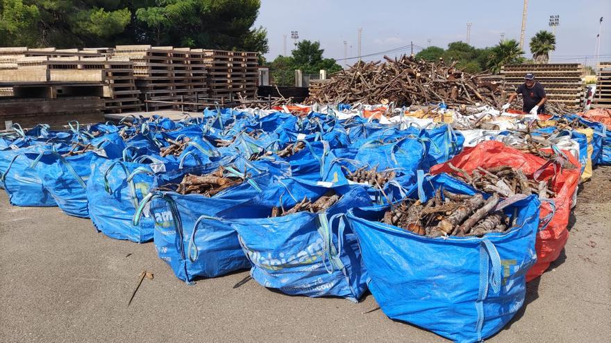 El Ayuntamiento de Torrevieja facilitará 15 toneladas de madera para celebrar las hogueras de San Juan en La Mata, Los Locos, El Cura y Los Náufragos