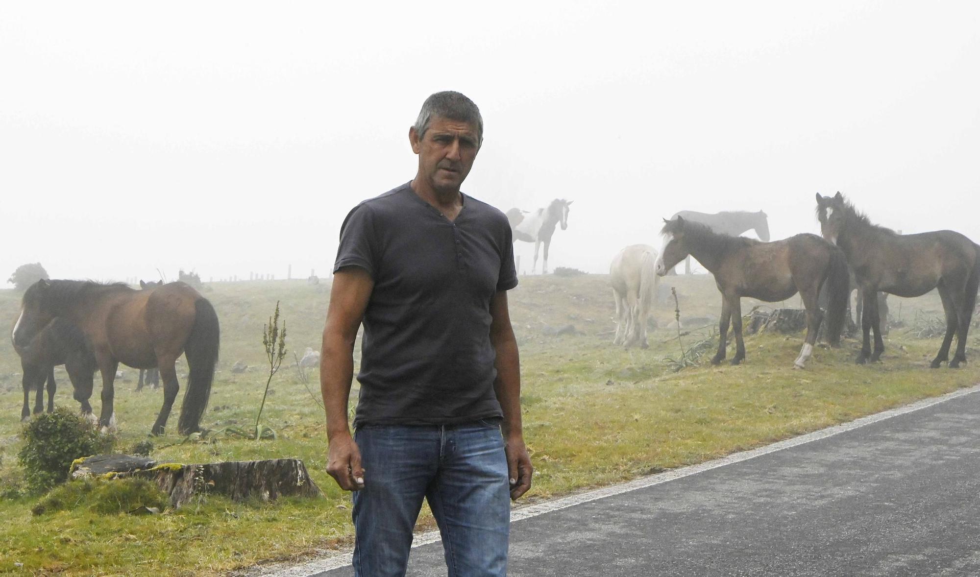 Modesto Domínguez, con caballos salvajes en Serra da Groba.