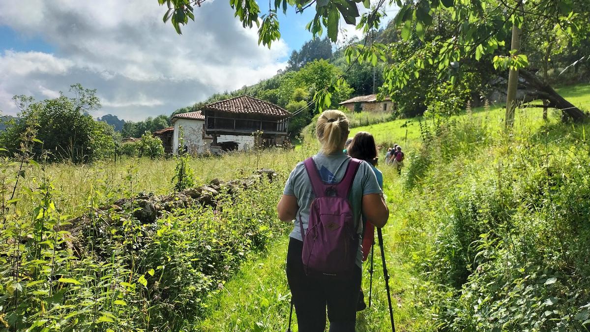 Una de las caminatas realizadas en el marco de las "Rutas saludables" de Grado.