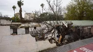 Dos meteorólogos de la Aemet estudian por qué se formó el tornado del sábado en Córdoba