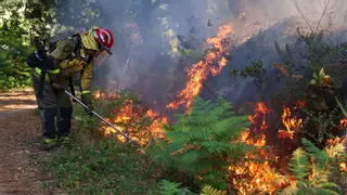 El humo de los incendios vuelve a cubrir la comarca