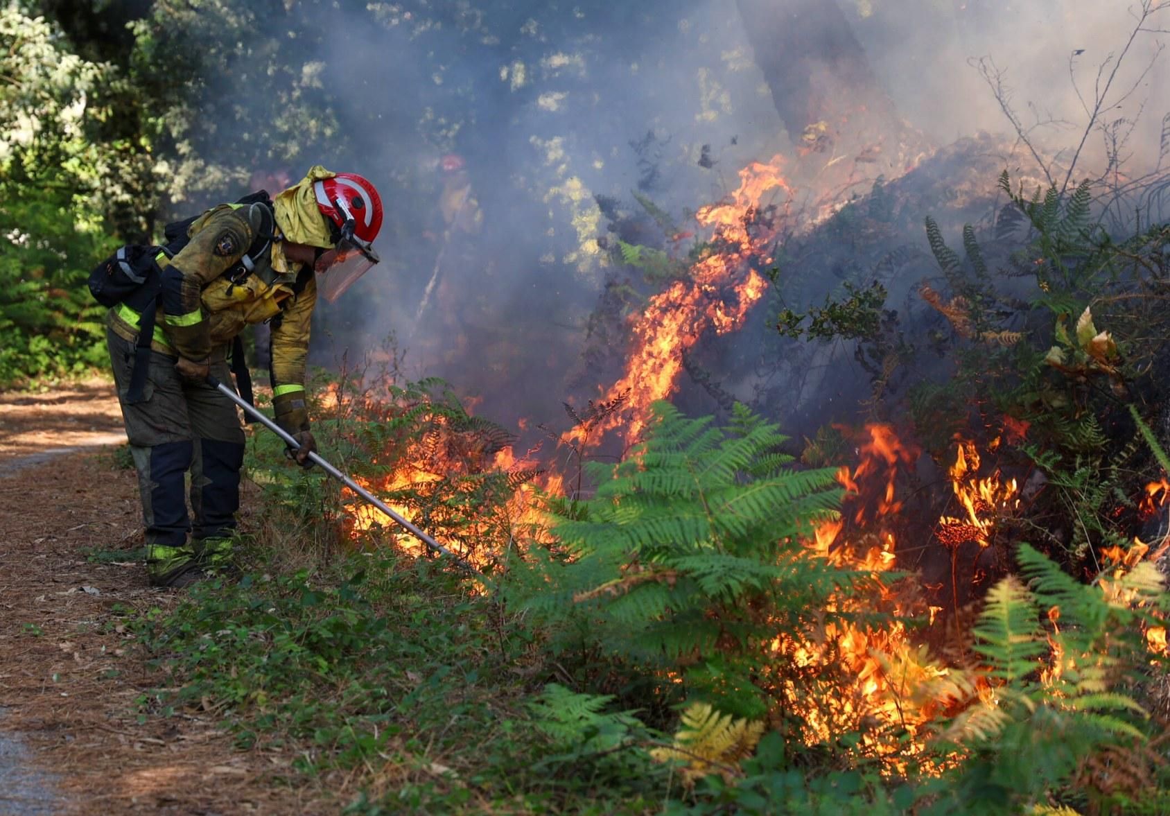 El incendio registrado esta tarde en el Concello de Meis.