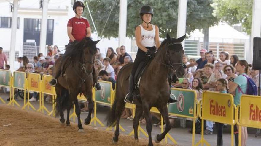 Un tratante, ayer contempla los ejemplares de la feria.