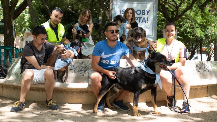 Concurso Guaupísimos: premio zamorano al mejor compañero de vida