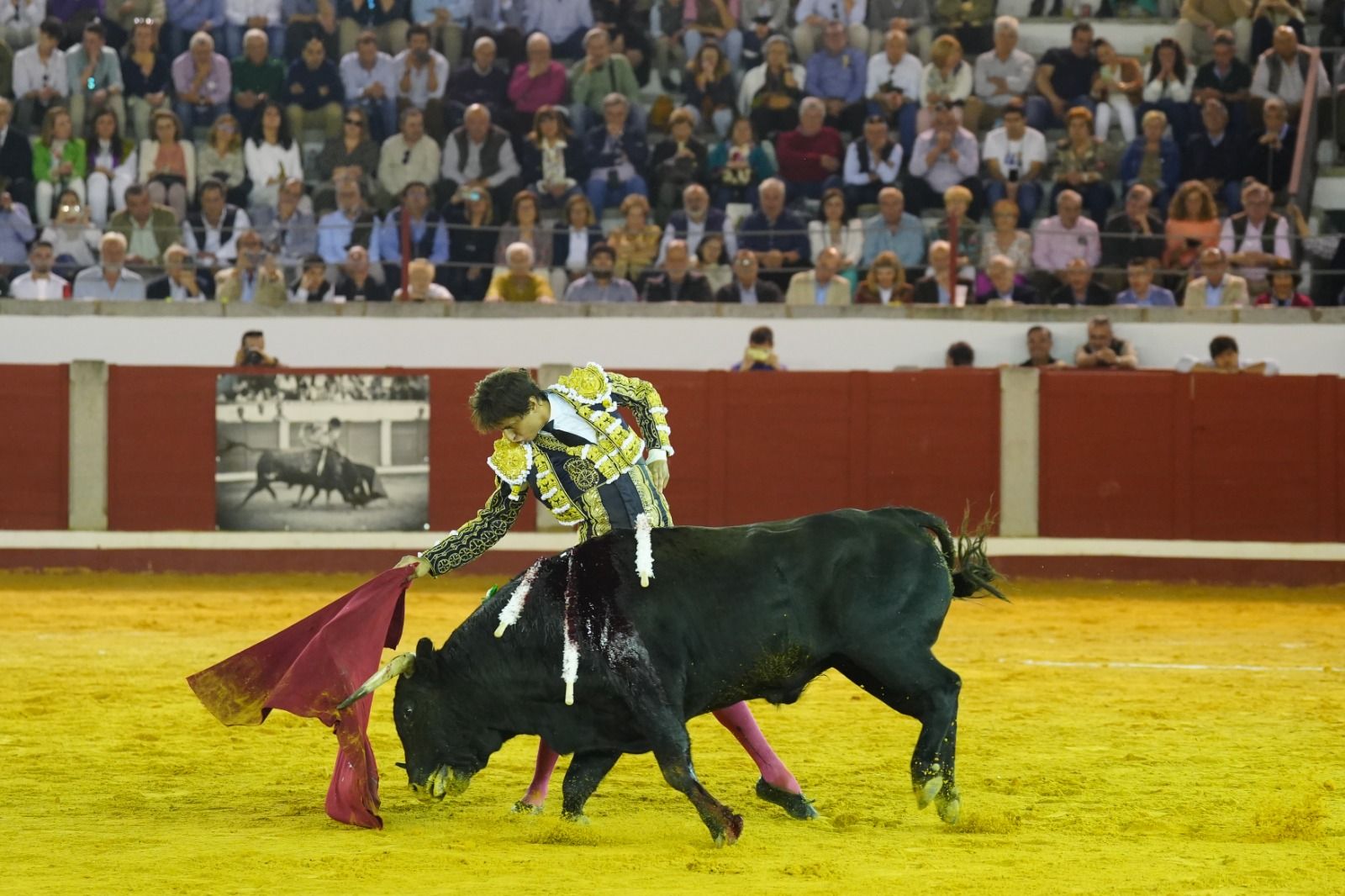 Castella, Manzanares y Roca Rey abren la puerta del Gallo de Los Llanos