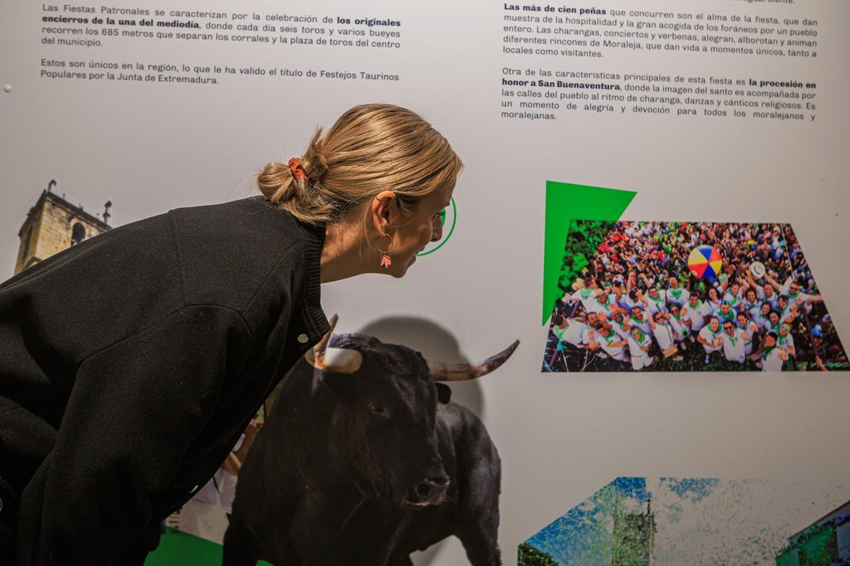 El Centro de Interpretación de San Buenaventura explica al visitante cómo son las fiestas y la importancia del toro.