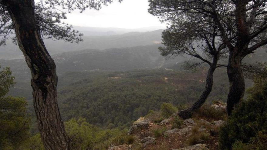 Detenido en Gandesa el acusado de violar a un menor en Gran Bretaña