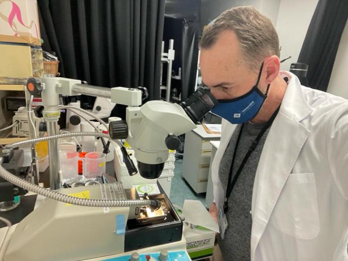 Álvaro Sabater es investigador y profesor en la UIB.