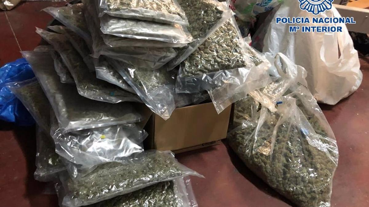 Parte de la marihuana intervenida en la operación