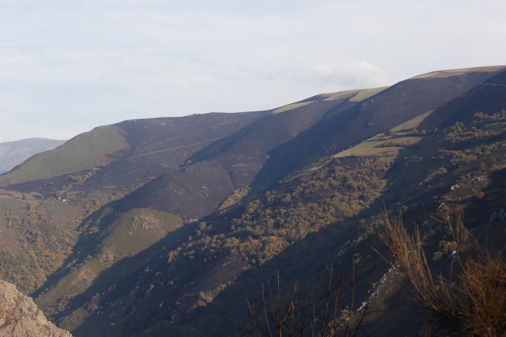 El Suroccidente asturiano arrasado por las llamas