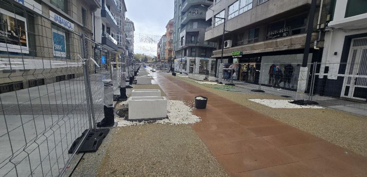 La jacaranda que se probó se desplantó y se sigue a la espera de que lleguen las catorce anunciadas.