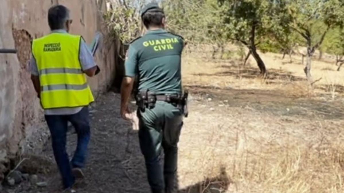 Momento de la intervención de los agentes.