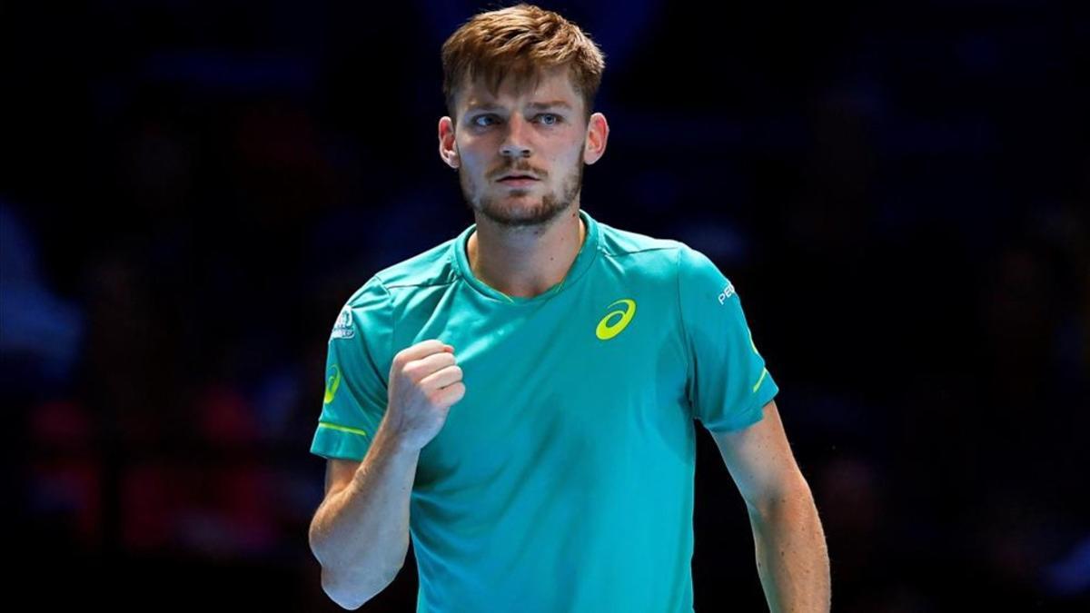 David Goffin