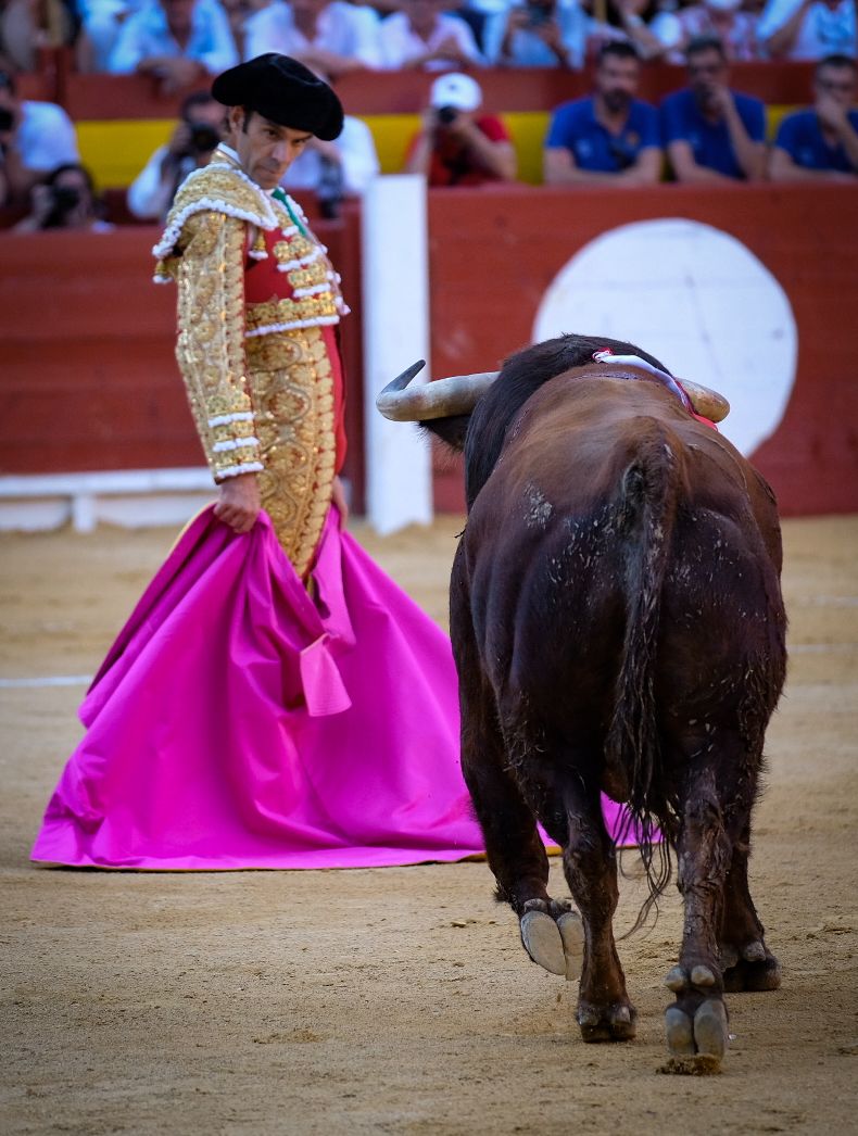 La tauromaquia de José Tomás en Alicante, en imágenes