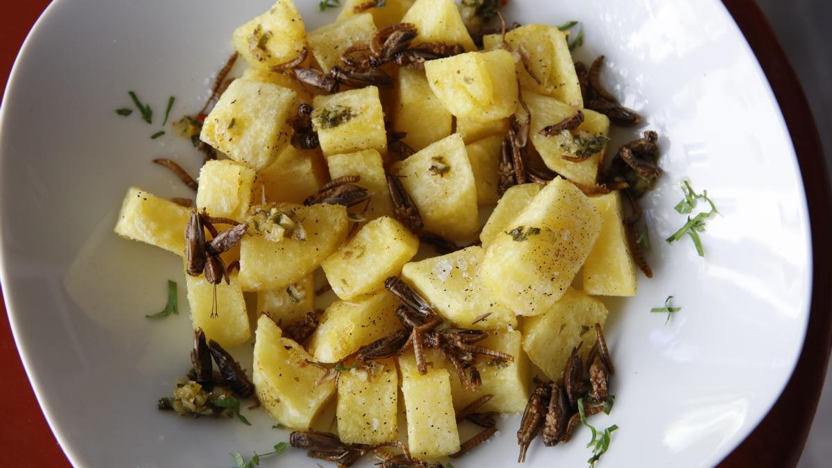 „Patatas gajo“ mit Mehlwürmern und Grillen.