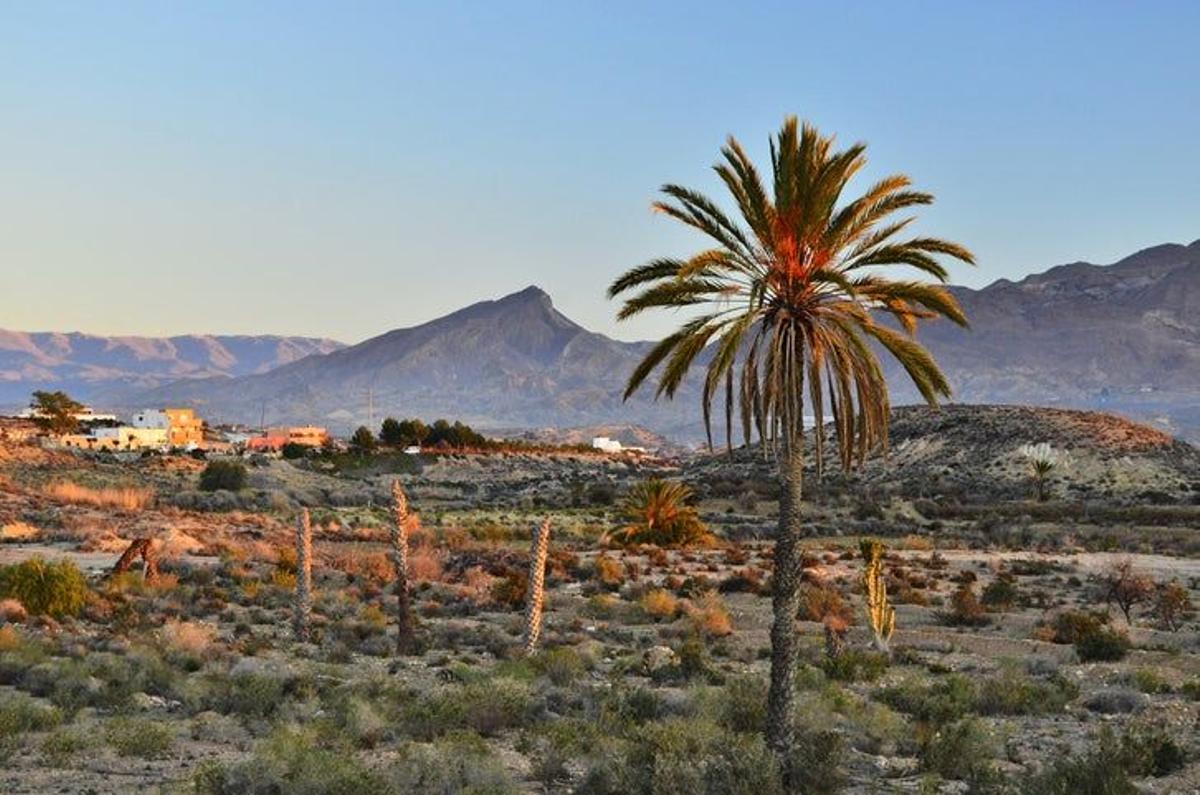 Desierto de Tabernas Almeria