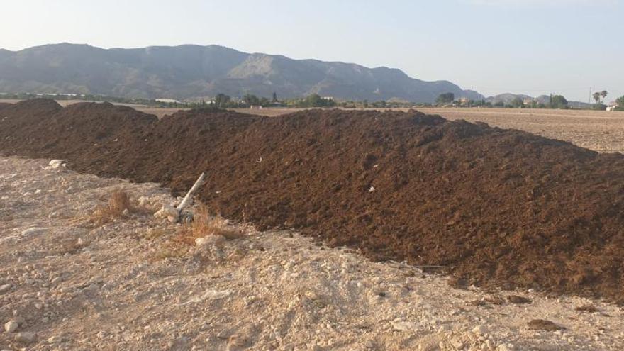 Montones de estiércol en la finca agrícola, según muestra la imagen cedida por un vecino.