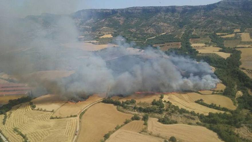 Un incendio arrasa 30 hectáreas de cereal