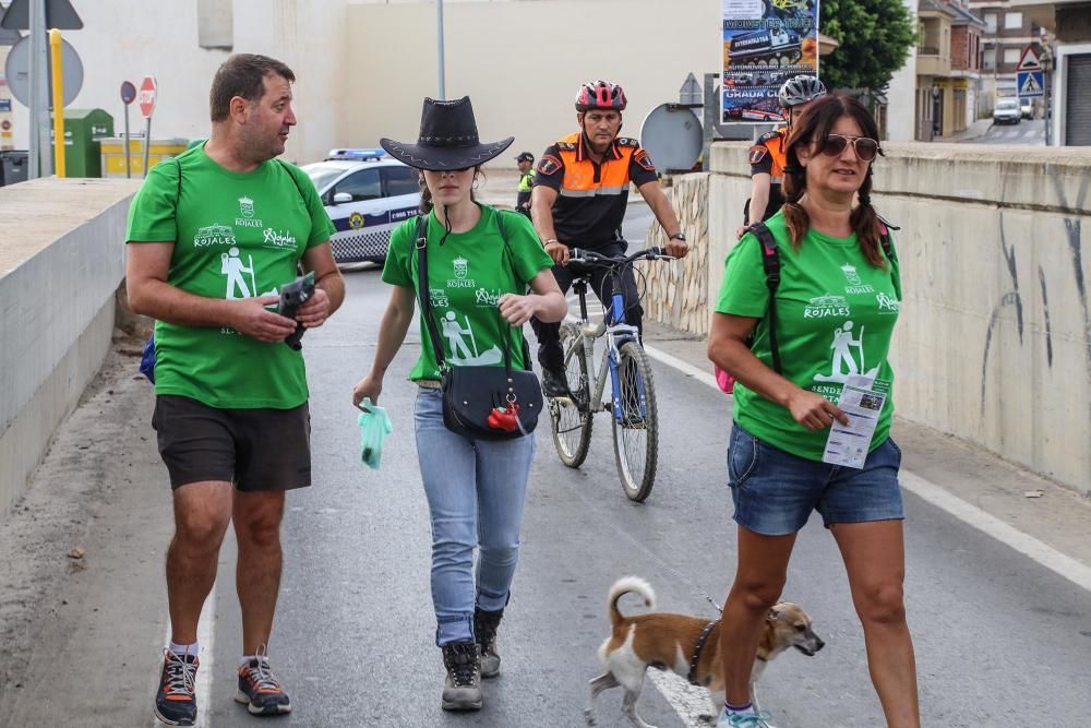 Ruta por la huerta tradicional en Rojales