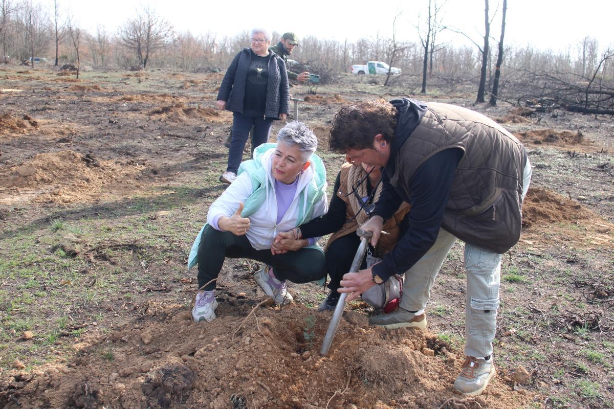 GALERÍA | Día del Árbol en La Carballeda GALERÍA | Día del Árbol en La Carballeda